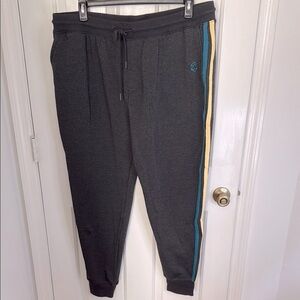 Critical Role Men’s Gray Jogger, Leisure, Active Wear Sweatpants